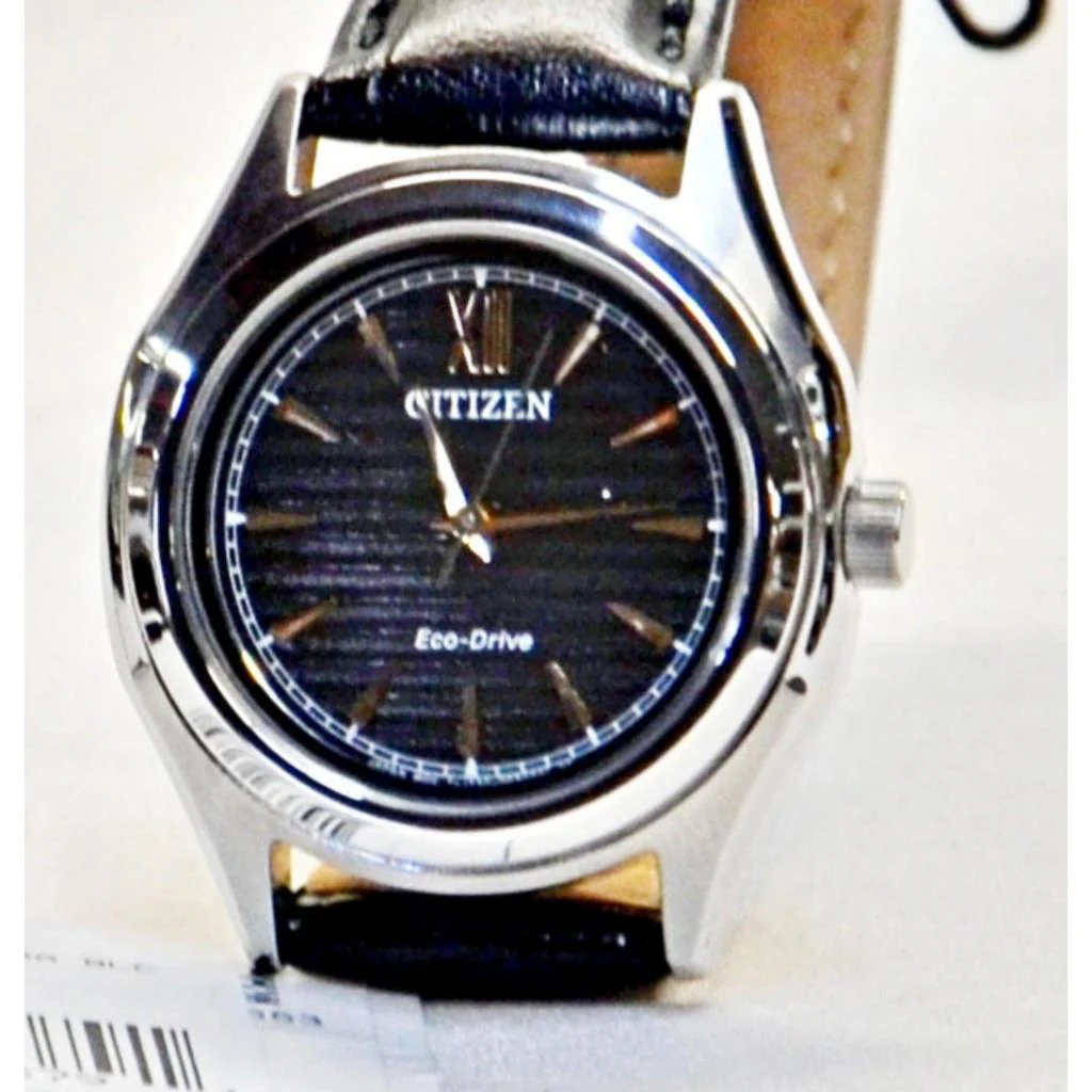 Citizen Women's FE2110-14E Eco-Drive Watch Black