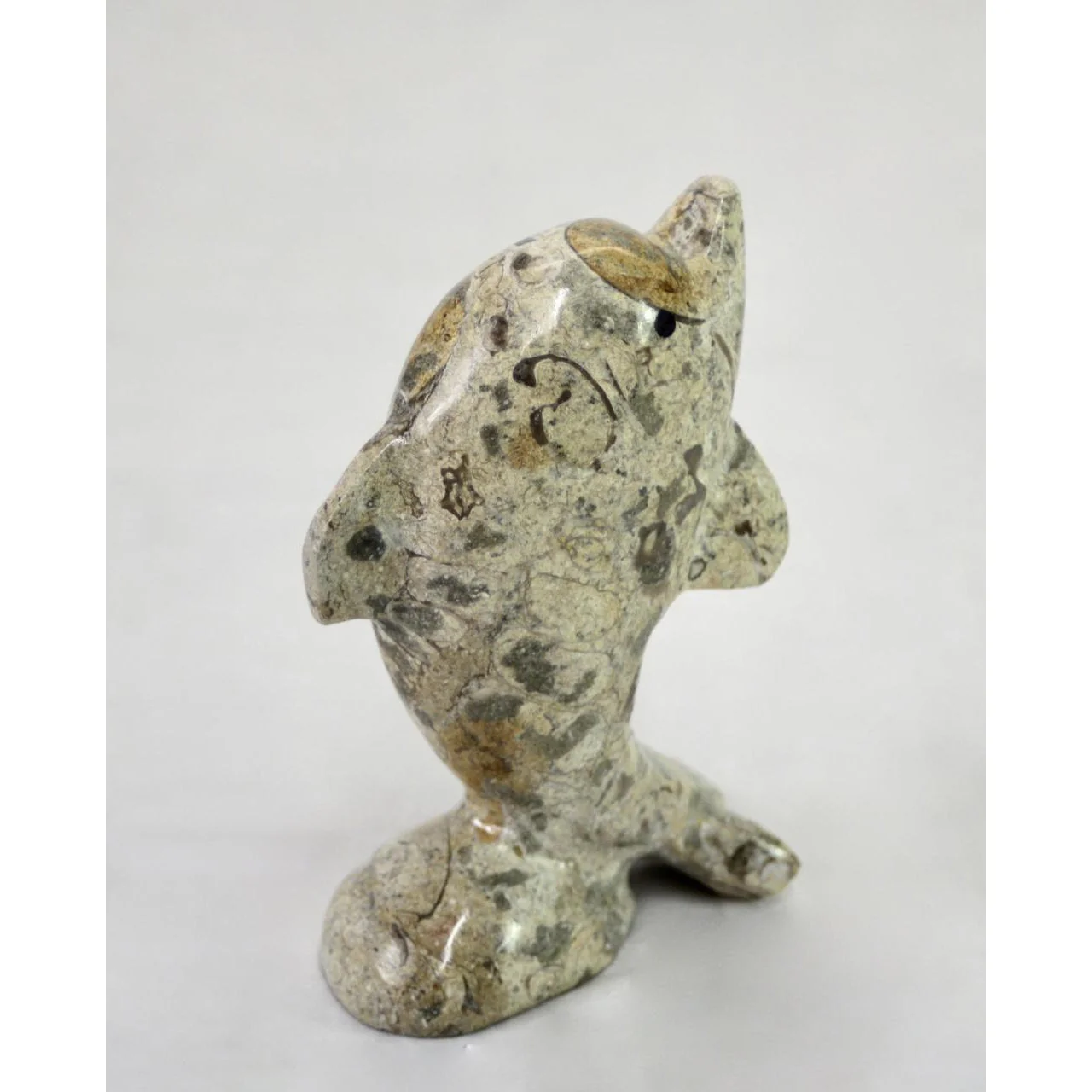 Coral Fossil 4" Dolphin Sculpture Gift by BMFC - Image 3