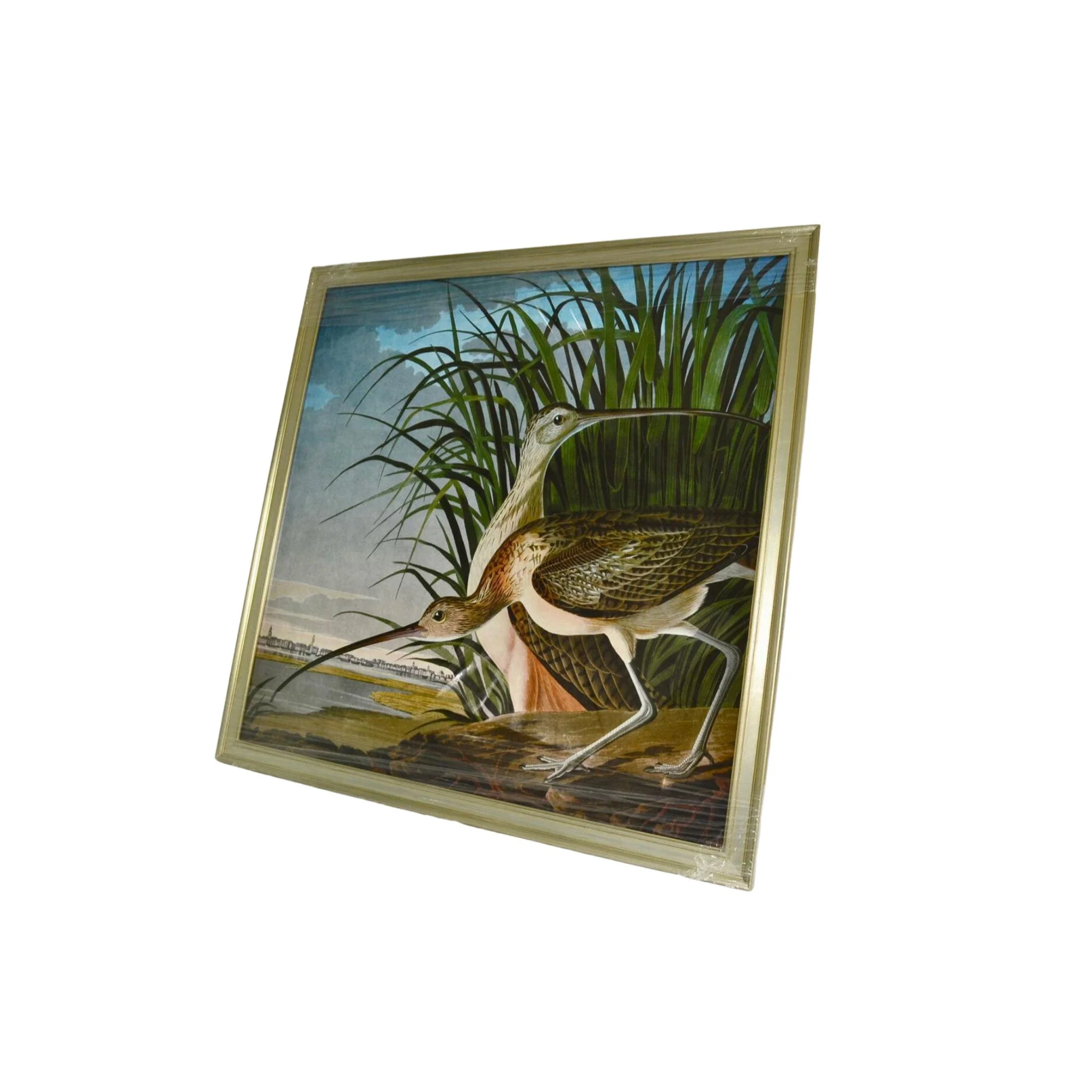 Long Billed Curlew by John James Audubon Painting Print - Image 2