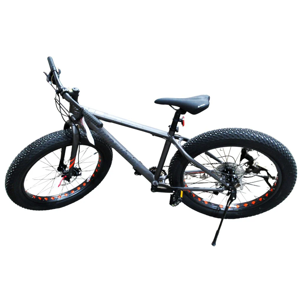 Northrock XCF Fat Tire Bike